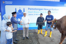 Semangat Berbagi dalam Rangka Idul Adha, BRI Distribusikan lebih dari 5000 Hewan Kurban di Berbagai Daerah
