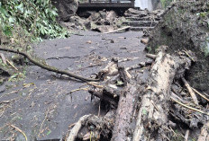 Dampak Banjir Lumpur, Kawasan Wisata Baturraden Banyumas Dipenuhi Pasir dan Ranting
