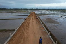 Perbaikan Jalan Sibalung-Pandak Banyumas Capai 23 Persen, Ditarget Rampung Agustus 2026
