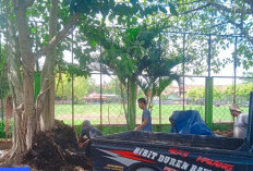Kompos UPKP Sumpiuh Banyumas Mulai Dilirik Petani, Diproduksi di Taman Kota 