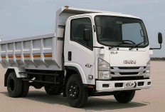 Isuzu ELF NMR: Truk 6 Roda Andalan Bisnis yang Kuat, Irit, dan Siap Kerja Keras