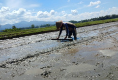 Petani Sumpiuh Banyumas Ajukan Sarpras Pengairan, Antisipasi Kemarau Panjang dan Jaga Produktivitas Sawah