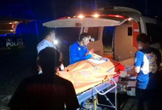 Pengacara Aris Munadi, Anggota Peradi Purwokerto Ditemukan Terkubur di Hutan Kubangkangkung Cilacap