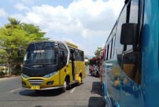 Trans Banyumas Berhenti, Bus Mikro Kembali Ramai, Penumpang Angkutan Konvensional Meningkat 