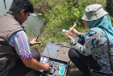 Gurame di Purbalingga Mati hingga 40 Persen, Sampel Air dan Ikan Diuji ke Laboratorium