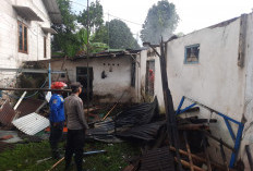 Diduga Puntung Rokok, Rumah Lansia di Bojongsari Purbalingga Ludes Terbakar, Kerugian Rp50 Juta
