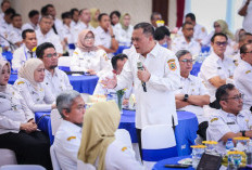 Ahmad Luthfi Minta ASN Jadi Problem Solver