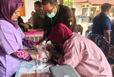 Perbatasan Banyumas Jadi Fokus Cegah Rabies, Vaksinasi Hewan Disiapkan Di Wilayah Rawan