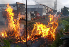 Kebakaran Lahan Dekat Rel Ganggu Perjalanan Kereta di Cilacap