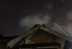 Resahkan Warga, Sarang Tawon Vespa di Permata Hijau Dievakuasi Damkar Banyumas