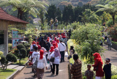 Libur Sekolah Dongkrak Wisata Baturraden, Kunjungan Tembus 32 Ribu, Pendapatan Capai Rp3,5 Miliar