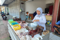 Harga Daging Ayam di Purbalingga Anjlok Drastis, Stok Melimpah dan Tahun Ajaran Baru Jadi Penyebab