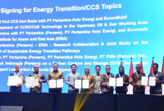 Pertamina Gandeng ERIA Kembangkan Jalur Transisi Energi Berkelanjutan