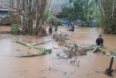 Hujan Lebat Picu 26 Bencana di Banyumas, Longsor Mendominasi, Sejumlah Sekolah Terdampak