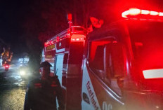 Kebakaran Lahan Kembali Terjadi di Purbalingga, Rumpun Bambu di Desa Candiwulan Hangus Terbakar