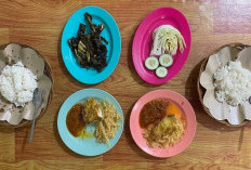 Makan Kenyang Tanpa Mahal di Pecel Lele Sahabat Purwokerto