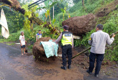 Hujan Deras Picu Longsor, Jalan Penghubung Bobotsari–Mrebet Purbalingga Sempat Tak Bisa Dilalui