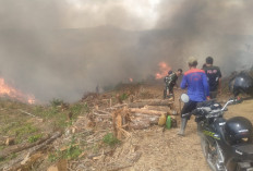 Lahan Seluas 20 Hektare di Gunung Telu Cilacap Terbakar, Diduga Berawal dari Pembakaran Sampah