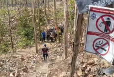 Kebakaran Hutan Jati di Kebasen Sebabkan Korban Jiwa, Lansia 72 Tahun Ditemukan Meninggal 