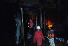 Baru Empat Hari Diisi, Ribuan Ayam Hangus Terbakar di Kedungbanteng Banyumas