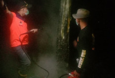 Hutan Pinus di Cimanggu Cilacap Terbakar, Penyebab Diduga Lupa Matikan Api