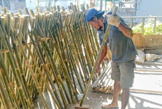 Pesanan Bambu HUT RI Melonjak di Banyumas, Kios Ajibarang Kewalahan Penuhi Permintaan