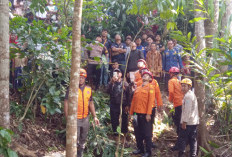 Petik Kelapa, Pria 65 Tahun di Purbalingga Meninggal di Atas Pohon