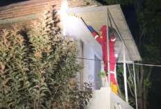 Meresahkan Warga, Damkar Purbalingga Evakuasi Sarang Tawon Vespa di Atap Rumah Warga Padamara