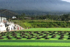 Lapangan Bola View Slamet, Spot Baru Favorit di Baturaden