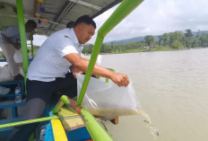 29 Ribu Pohon dan 30 Ribu Benih Ikan Ditebar untuk Selamatkan DAS Serayu