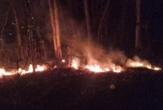 Puntung Rokok Picu Kebakaran Lahan di Pejagoan