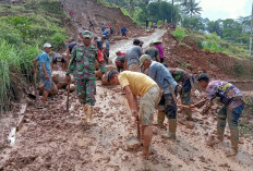 Hati-Hati Saat Mudik Lebaran Lewat Jalur Selatan Cilacap, Sejumah Titik Rawan Longsor