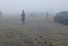 Viral Citra Satelit Gunung Slamet, DLH Banyumas Tegaskan Area Coklat Bekas Eksplorasi PLTP