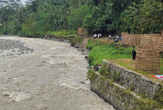 Irigasi Macet Tiga tahun, 480 Hektare Sawah di Banjarnegara Krisis Air
