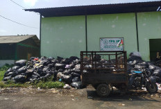 Pengelolaan Sampah Pasar di Purbalingga Belum Optimal, Terkendala Fasilitas dan Sampah Warga