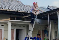 Terjebak di Atap Rumah, Dua Ekor Kucing Dievakuasi Damkar Cilacap