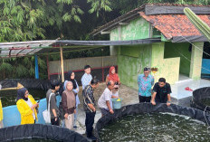 Kolaborasi International Islamic University Malaysia, Unsoed, dan UT Dampingi Budidaya Ikan di Banjarnegara