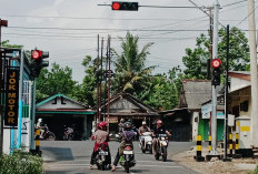 APIL Dipasang di Simpang Sigong Kroya, Lalu Lintas Lebih Tertib
