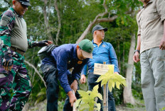 Lestarikan Tanaman Langka, BKSDA Tanam Bibit Wijayakusuma Keraton di Nusakambangan