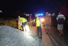 Tumpukan Batu Split Pembangunan SPPG di Penaruban Purbalingga Picu Kecelakaan, Polisi Turun Tangan