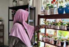 Toko Ar-Razak Purbalingga, Surga Oleh-oleh Khas Daerah Harga Terjangkau