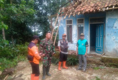 Cuaca Ekstrem di Wanareja Cilacap, Pohon Petai Roboh Timpa Rumah Warga