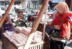 Dampak Kenaikan Harga Plastik, Harga Minyak dan Kedelai Ikut Terkerek