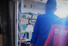 Warga Tritih Kulon Geger, Ular Cincin Emas Masuk Kandang Burung Dara