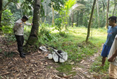 Dinperinnaker Purbalingga Catat 18 Penderes Meninggal pada 2024–2026, Santunan dan Beasiswa Jadi Jaminan