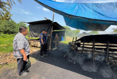 Warga Keluhkan Usaha Arang Bakau di Donan Cilacap, Diduga Cemari Udara