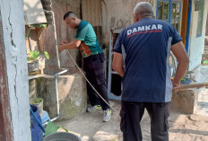 Kucing Terjebak di Sumur, Damkar Cilacap Turun Tangan
