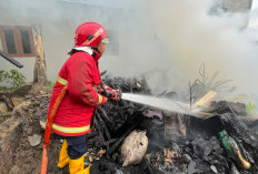 Api Tungku Kayu Tak Padam Sempurna, Rumah Warga Karangreja Purbalingga Ludes Terbakar