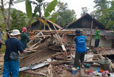 Rumah Semi Permanen Roboh Diterjang Hujan dan Angin di Cimanggu, Kerugian Capai Rp 30 Juta