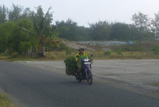 BRIN Harap Masyarakat tak Ubah Bentang Alam Gumuk Pasir Kebumen